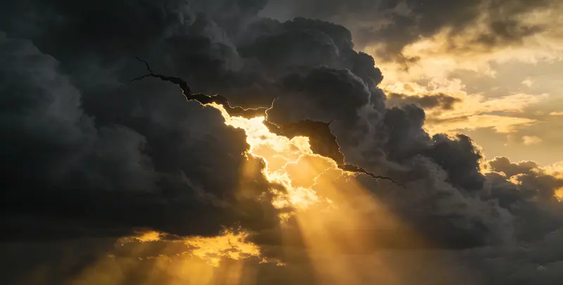 上饶肺癌靶向39基因检测（组织）图片1